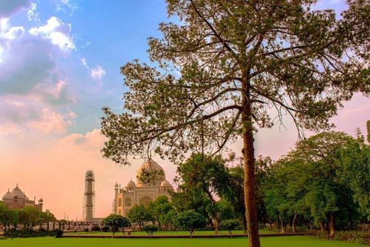 Private Taj Mahal Sunrise Day Tour From Delhi by Ac Car - All Inclusive