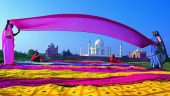 Excellent trip to Agra and Delhi
