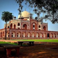 Half-day Tours