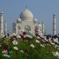 Private & Custom Tours